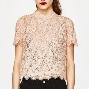 New w/ tags Zara pink/peach lace short sleeve top
